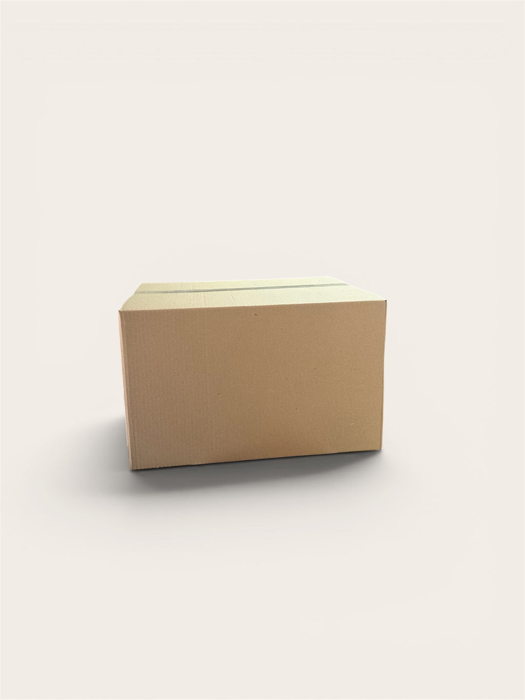 Caja regular XL